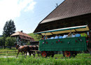 Tour en calèche dans la région idyllique de l'Emmental avec repas