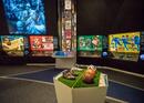 L'ambiance d'un safari au zoo de Zurich et au musée de la FIFA