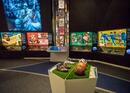 Safari feeling at Zurich Zoo and FIFA Museum