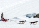 A round trip on a dog-drawn sleigh in central Switzerland