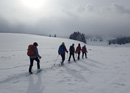 Schneeschuhlaufen im Jura