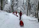 Schneeschuhwanderung im Jura