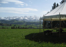 Games and Barbecue Fun in the Nature Tent