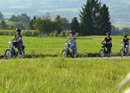 moped tour Emmental with barbecue on the farm