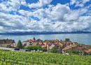 Weinrundgang im Lavaux mit kalter Platte