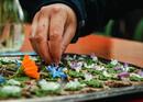 Apéritif aux herbes sauvages dans la cave à vin