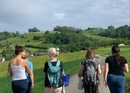 Wildkräuterwanderung zum Kraftort
