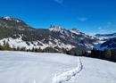 Winterliches Teamerlebnis: Schneeschuhtour